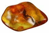 Small Fossil Spider (Araneae) in Baltic Amber #173652-1